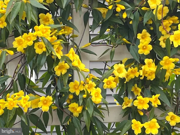 $579,000 | 25016 Tannin Circle, Milton, DE 19968