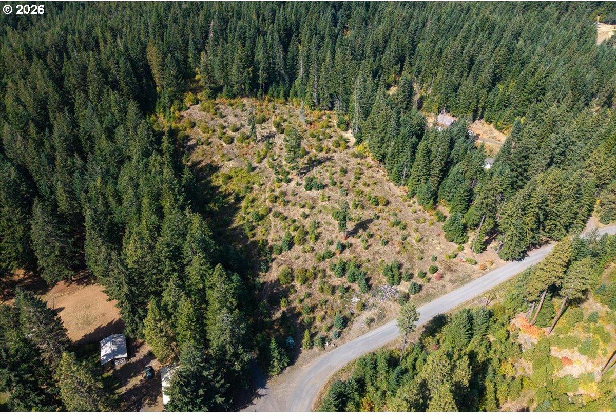 Moore Road White Salmon, WA 98672 - Photo 19 of 39 Gallery Image 19