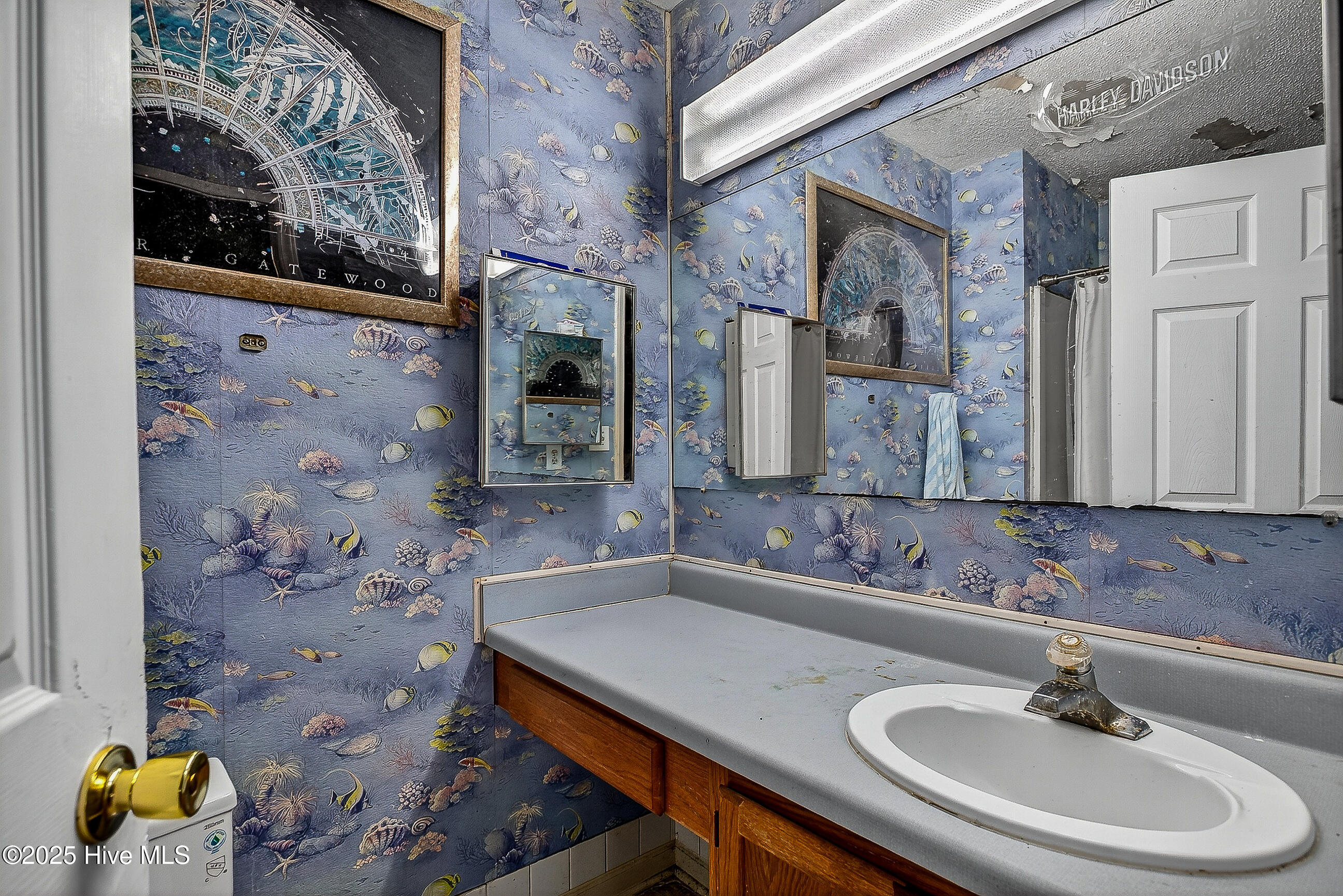 500 Dion Drive Hubert, NC 28539 - Photo 15 of 26 15