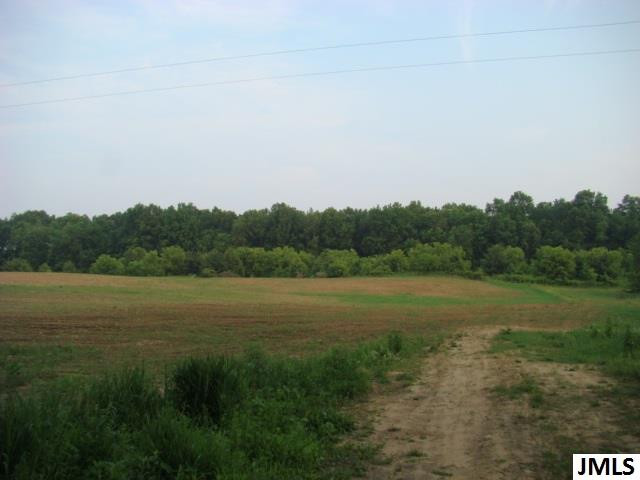 Vl Folks Road Hanover, MI 49241 - Photo 7 of 10 Photo 7