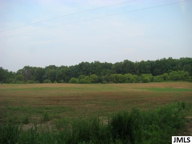 Vl Folks Road Hanover, MI 49241 - Photo 8 of 10 Photo 8