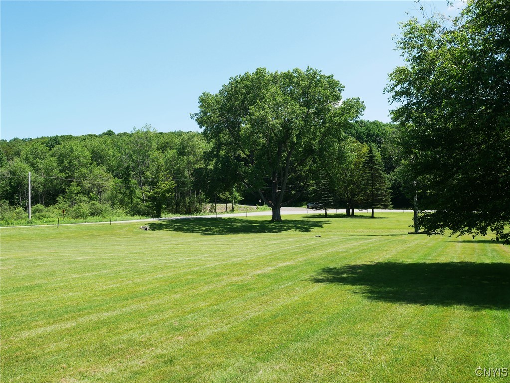 Gorton Lake Road West Edmeston, NY 13485 - Photo 11 of 15