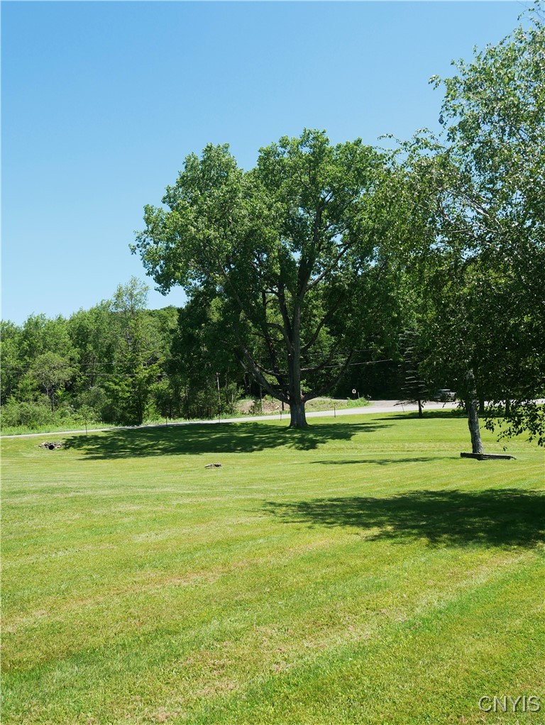 Gorton Lake Road West Edmeston, NY 13485 - Photo 12 of 15