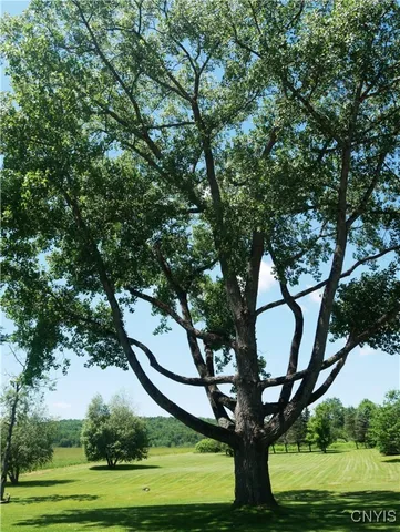 $69,900 | Gorton Lake Road, West Edmeston, NY 13485