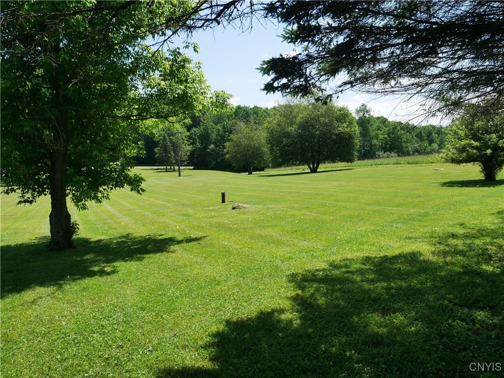 Gorton Lake Road West Edmeston, NY 13485 - Photo 2 of 15