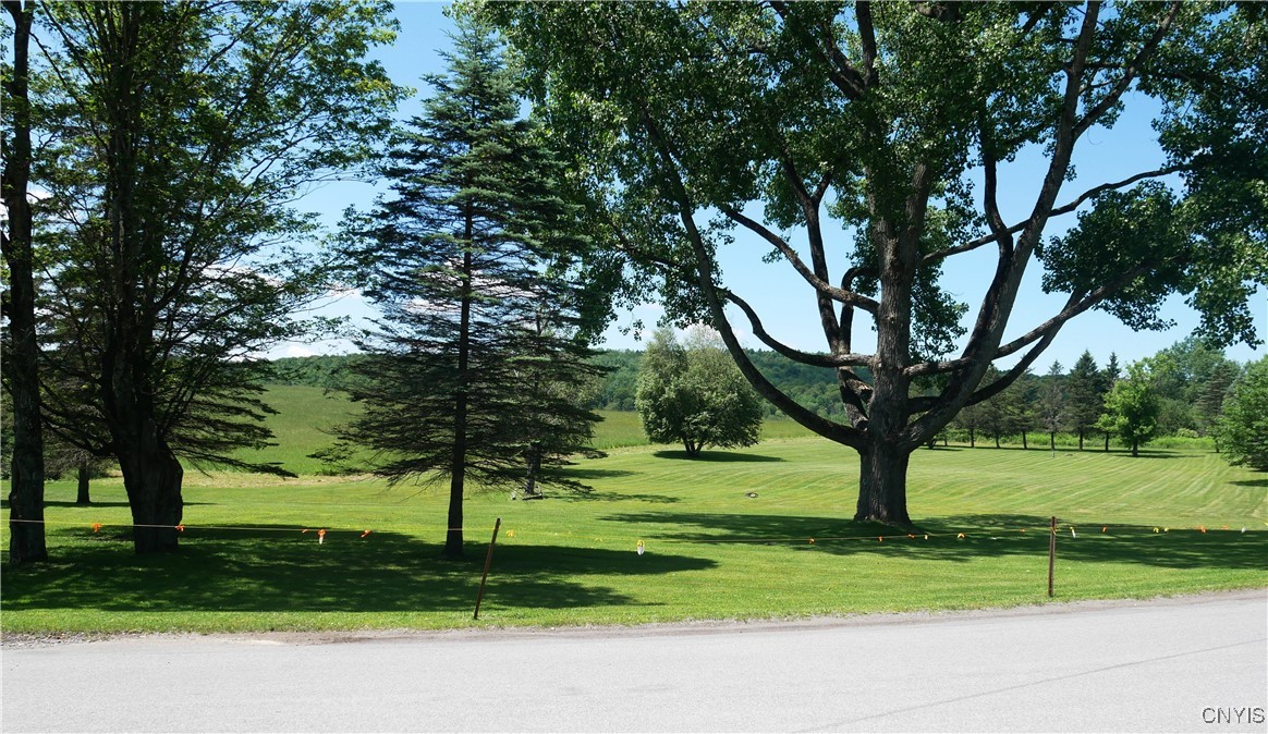 Gorton Lake Road West Edmeston, NY 13485 - Photo 3 of 15