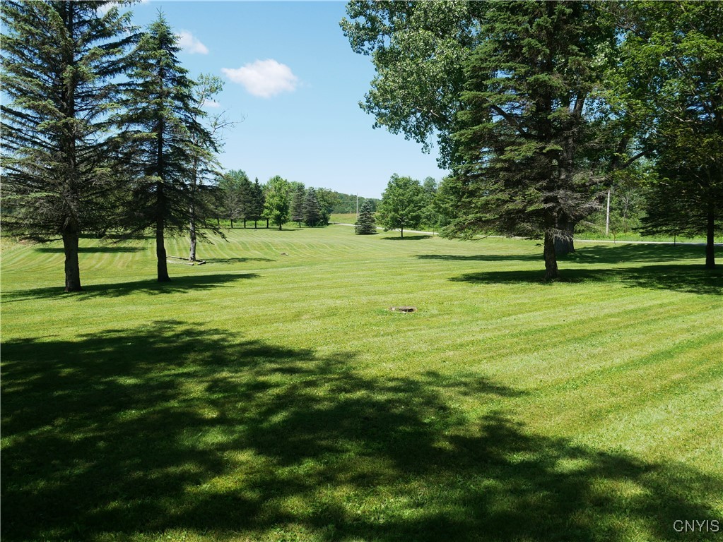 Gorton Lake Road West Edmeston, NY 13485 - Photo 4 of 15