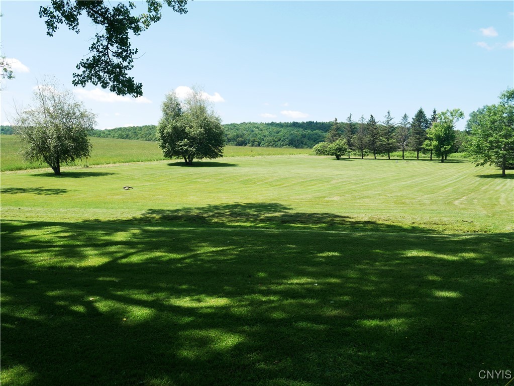 Gorton Lake Road West Edmeston, NY 13485 - Photo 7 of 15