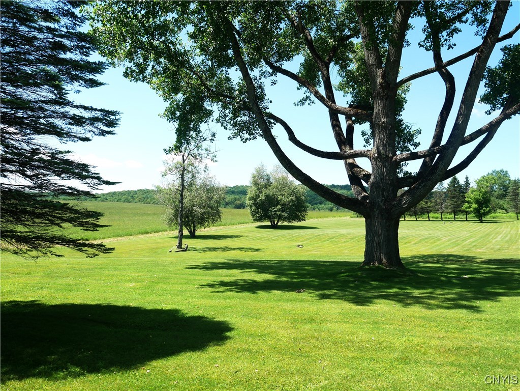 Gorton Lake Road West Edmeston, NY 13485 - Photo 9 of 15