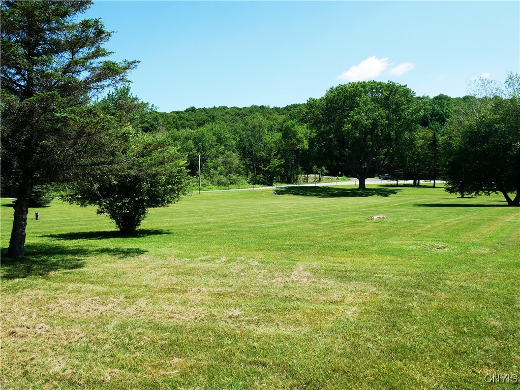 Gorton Lake Road West Edmeston, NY 13485 - Photo 10 of 15