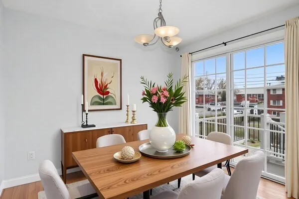 a view of a dining room with furniture a potted plant and wooden floor