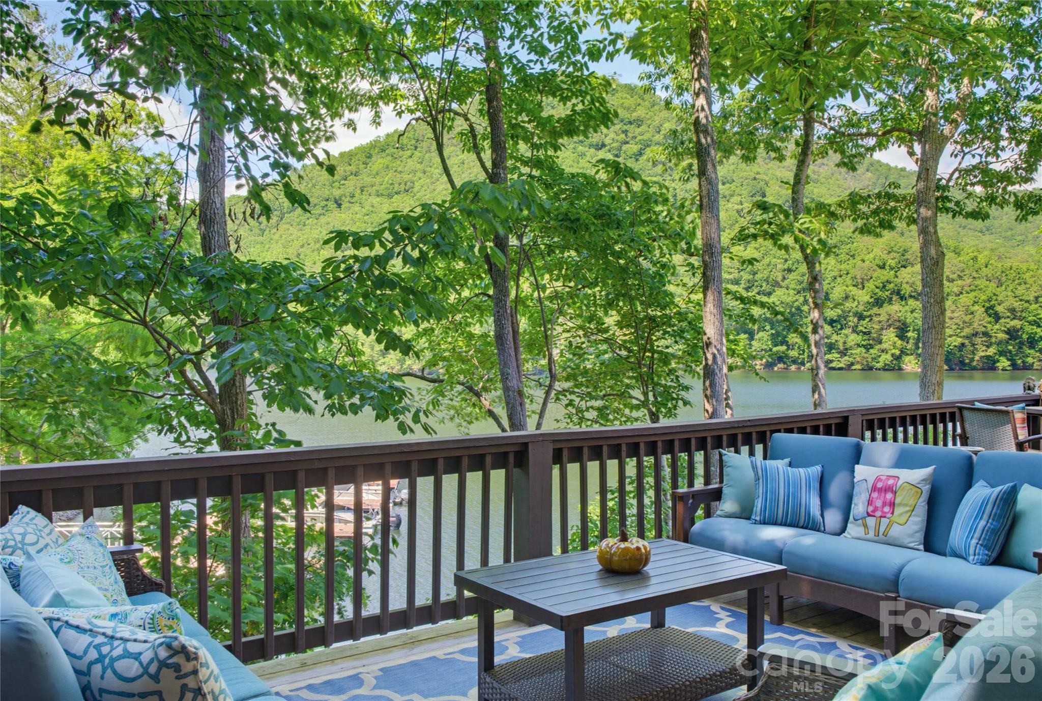 561 Harbor Ridge Drive Tuckasegee, NC 28783 - Photo 44 of 44