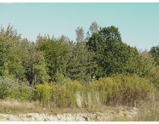 Lot 10 Lyons Farm Road Haverhill, MA 01835 - Photo 8 of 9 Gallery Image 8