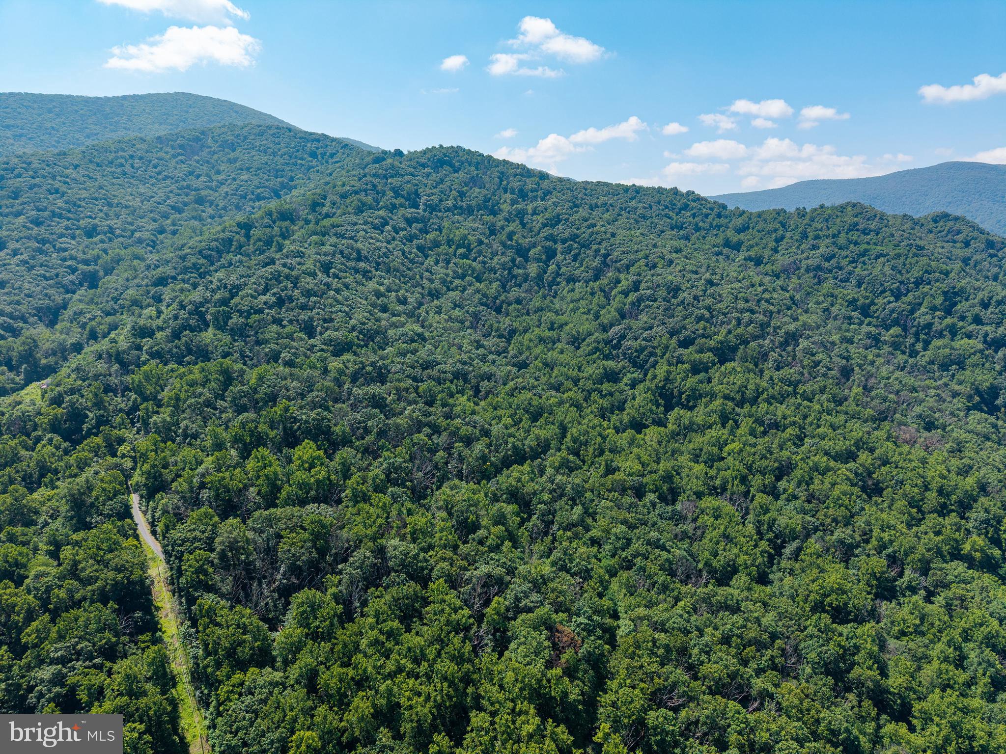 0 Helms Road Stanley, VA 22851 - Photo 4 of 50