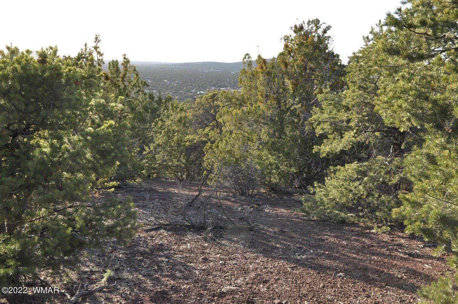 6-e # 2 Cr Eagar, AZ 85925 - Photo 11 of 19
