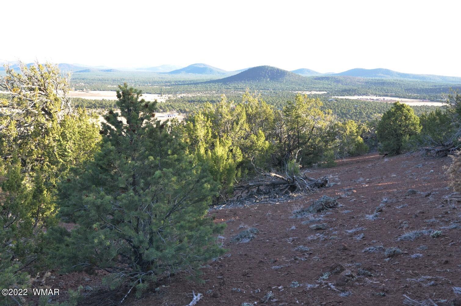 6-e # 2 Cr Eagar, AZ 85925 - Photo 12 of 19