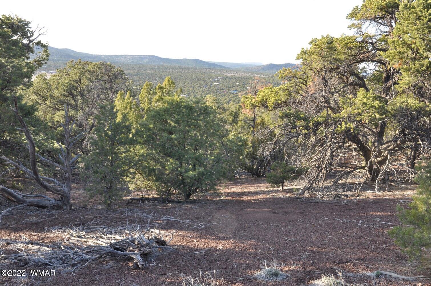 6-e # 2 Cr Eagar, AZ 85925 - Photo 13 of 19