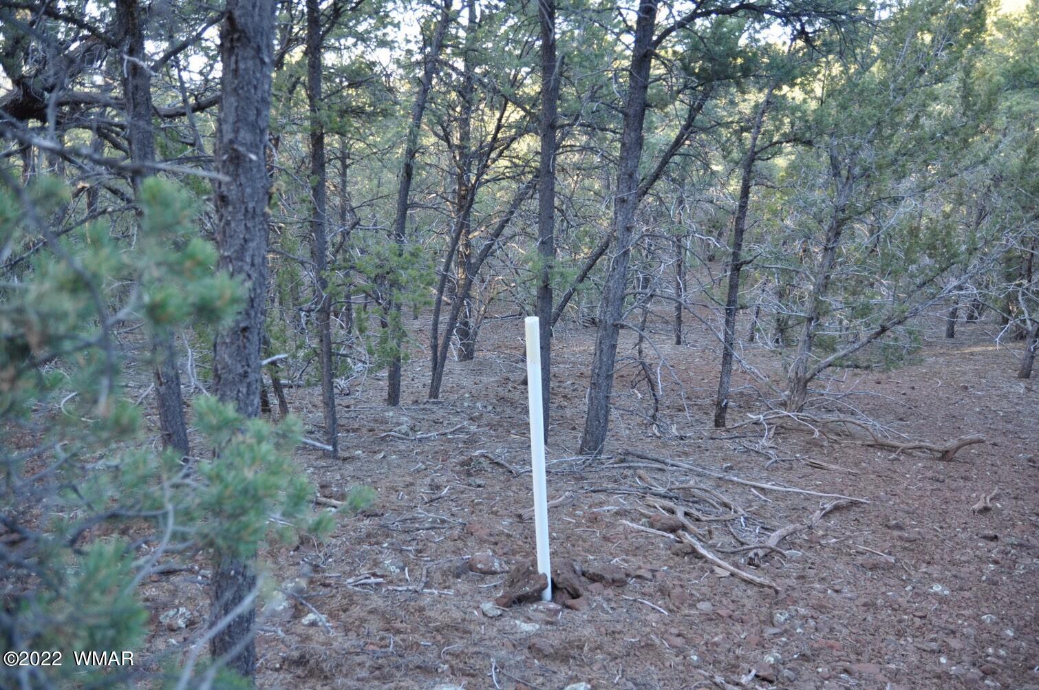 6-e # 2 Cr Eagar, AZ 85925 - Photo 14 of 19