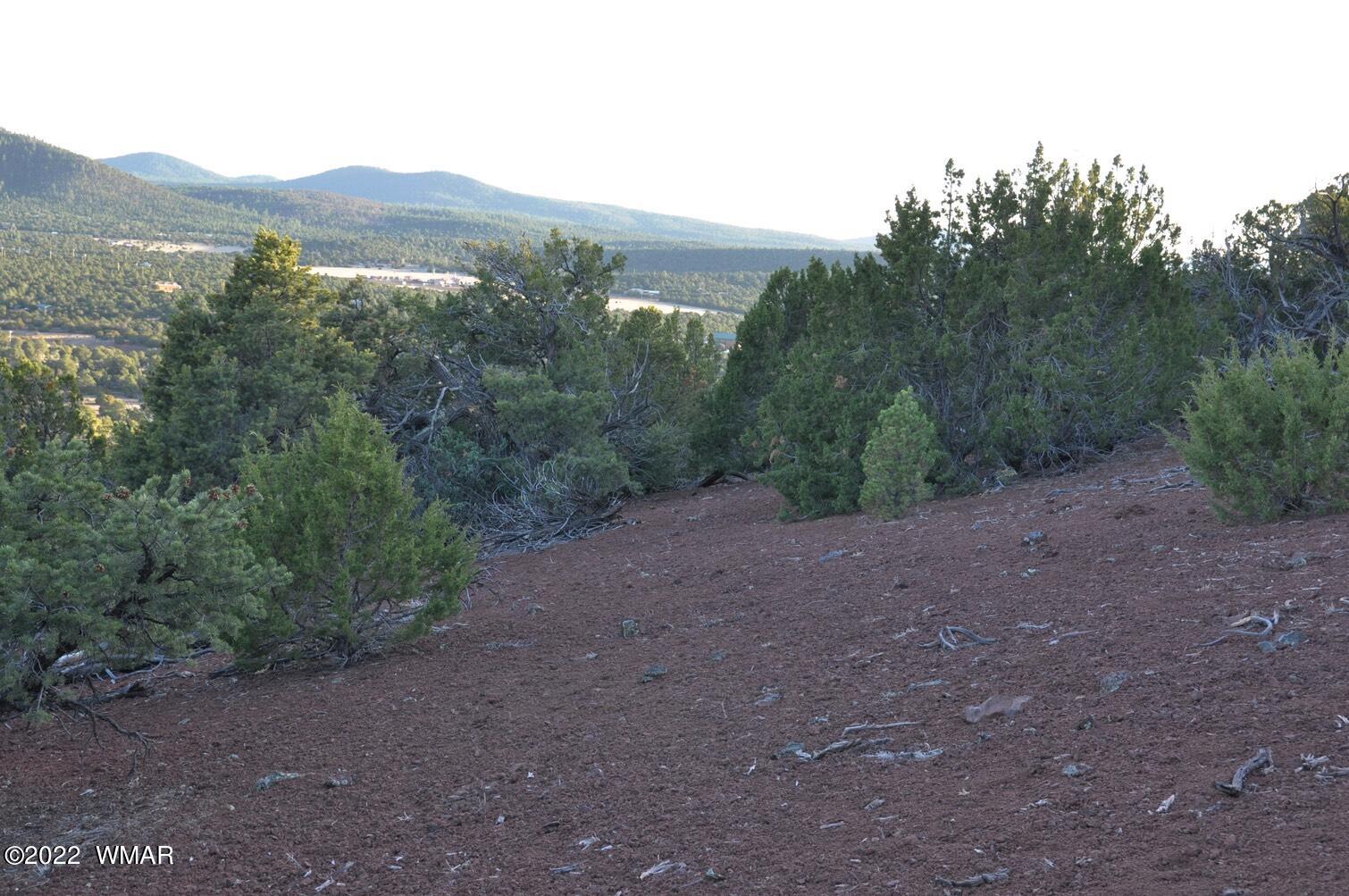 6-e # 2 Cr Eagar, AZ 85925 - Photo 17 of 19