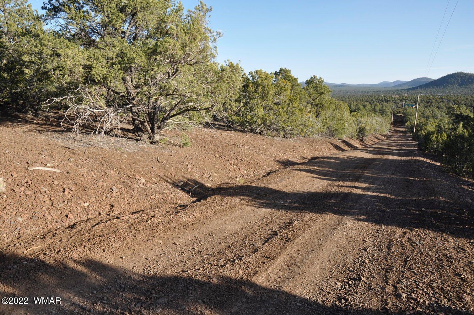 6-e # 2 Cr Eagar, AZ 85925 - Photo 2 of 19