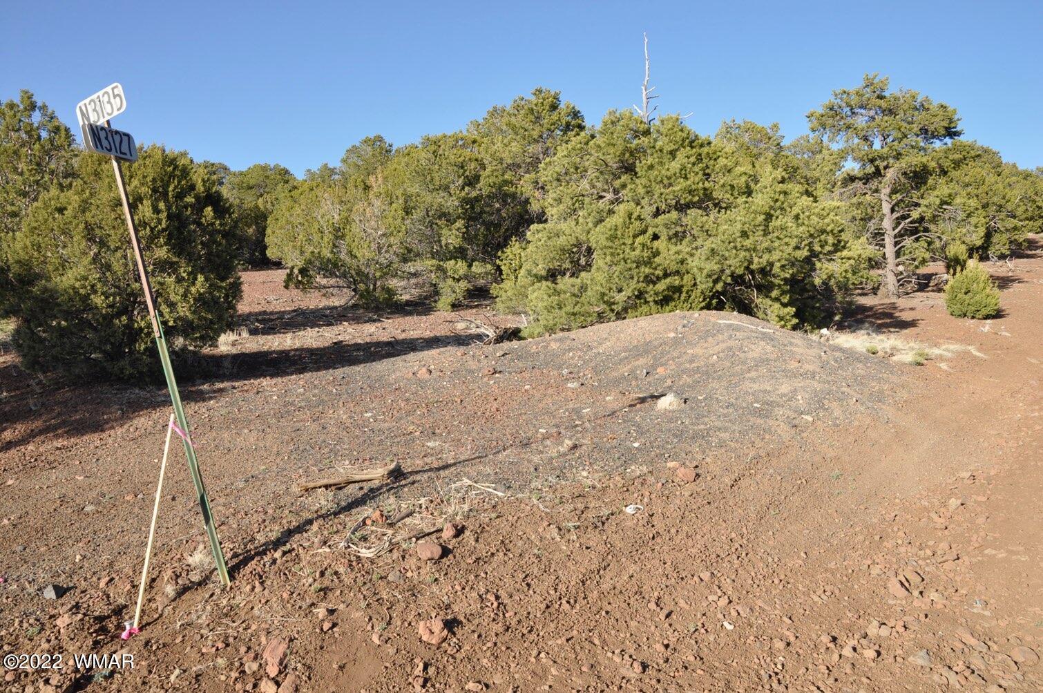 6-e # 2 Cr Eagar, AZ 85925 - Photo 3 of 19
