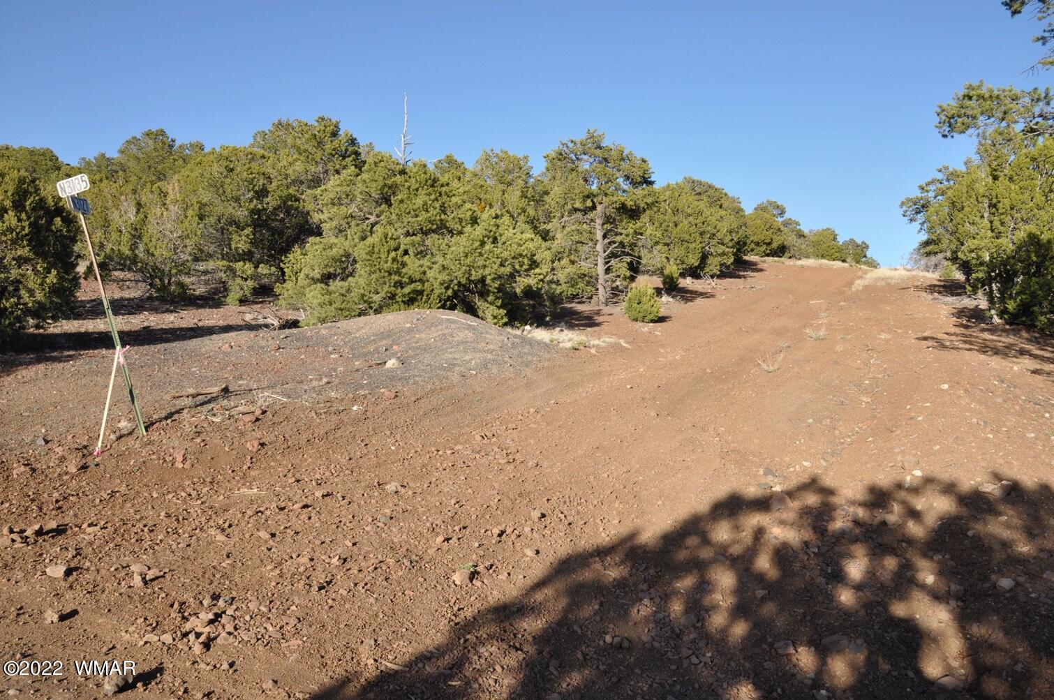 6-e # 2 Cr Eagar, AZ 85925 - Photo 4 of 19