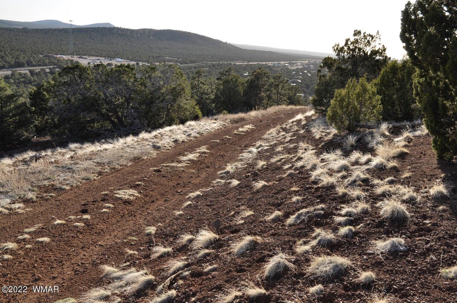 6-e # 2 Cr Eagar, AZ 85925 - Photo 9 of 19