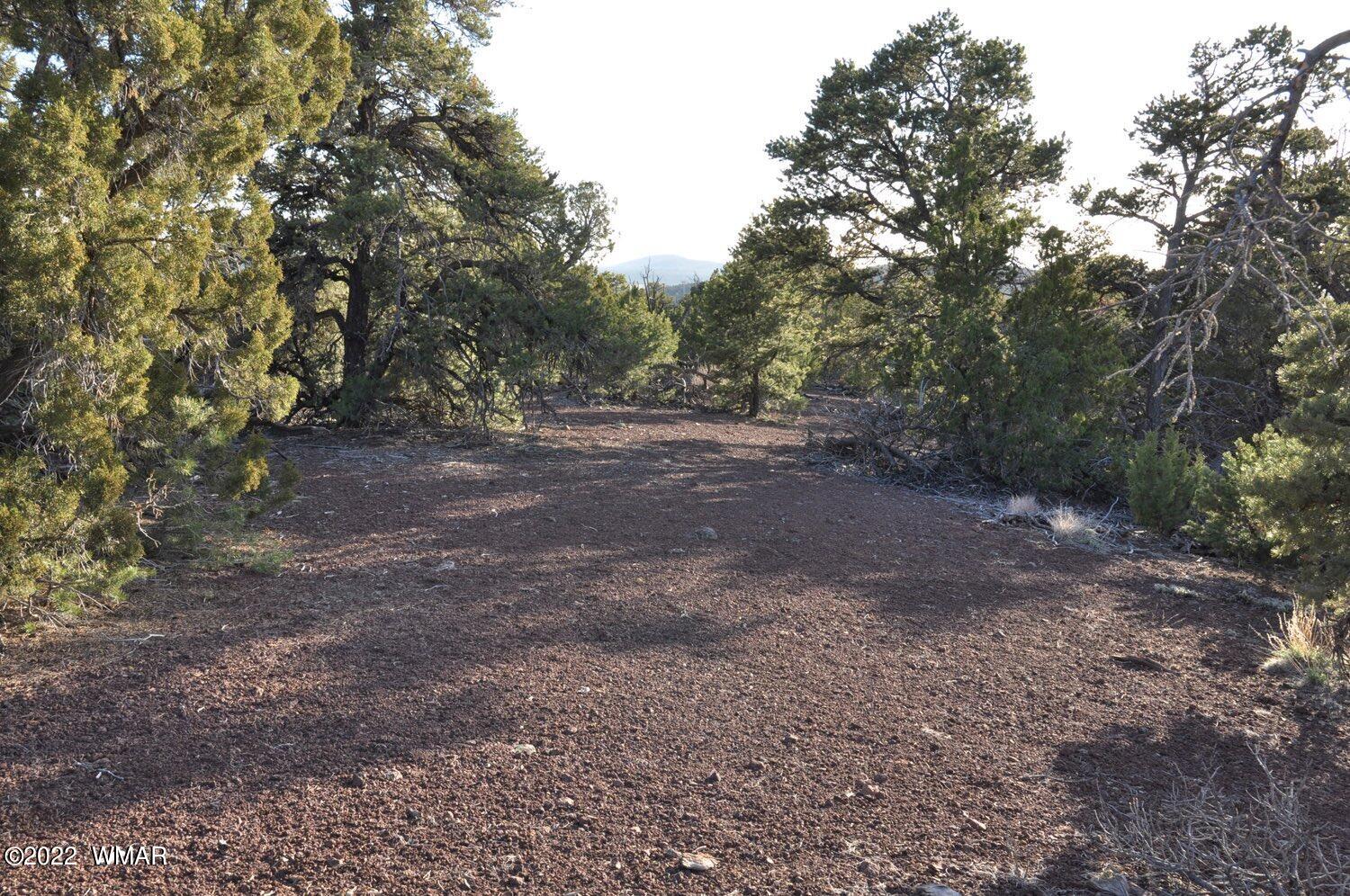 6-e # 2 Cr Eagar, AZ 85925 - Photo 10 of 19