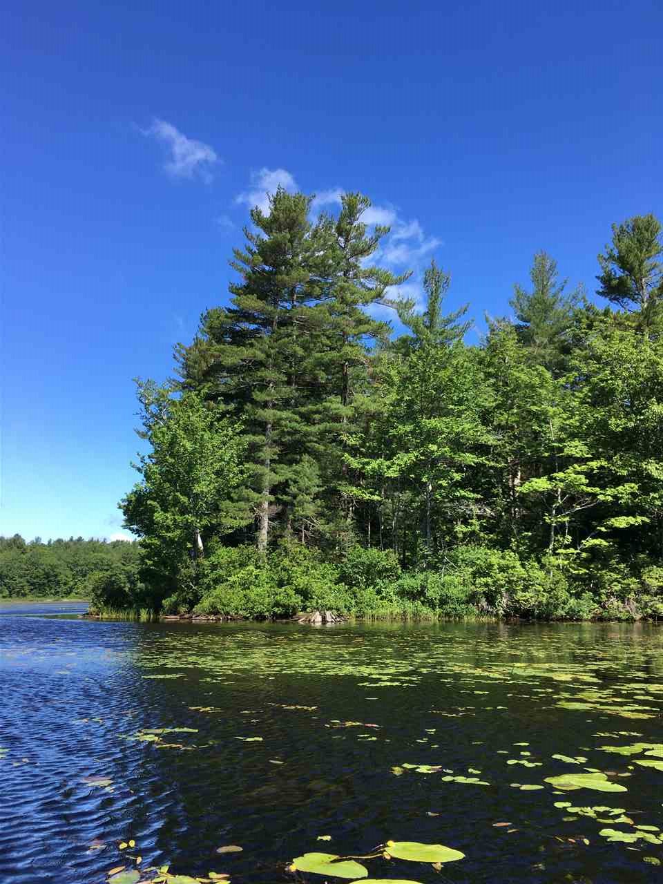 44-2 Lake Drive Rindge, NH 03461 - Photo 3 of 5