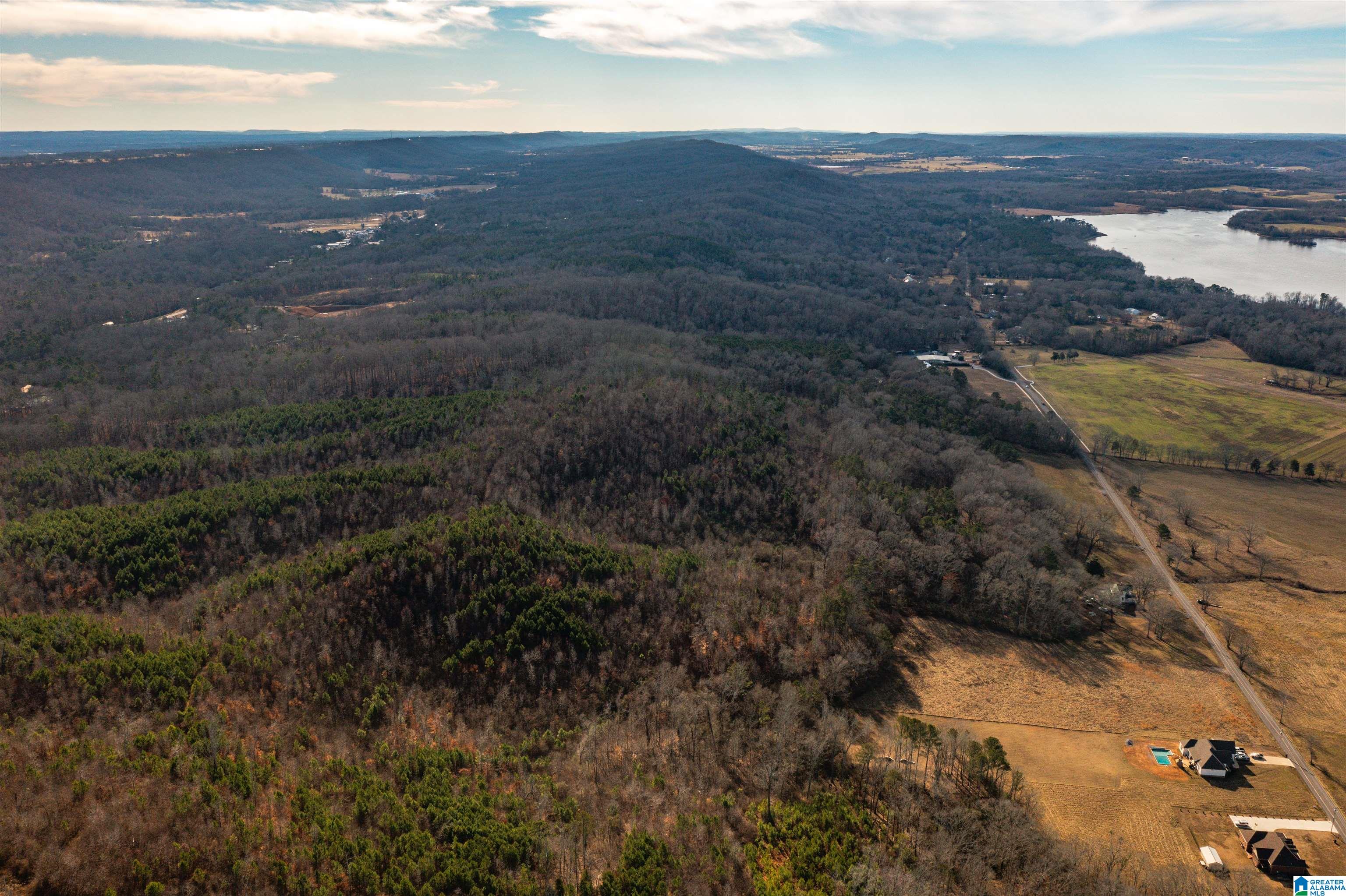 0 Browns Valley Road Guntersville, AL 35976 - Photo 25 of 39