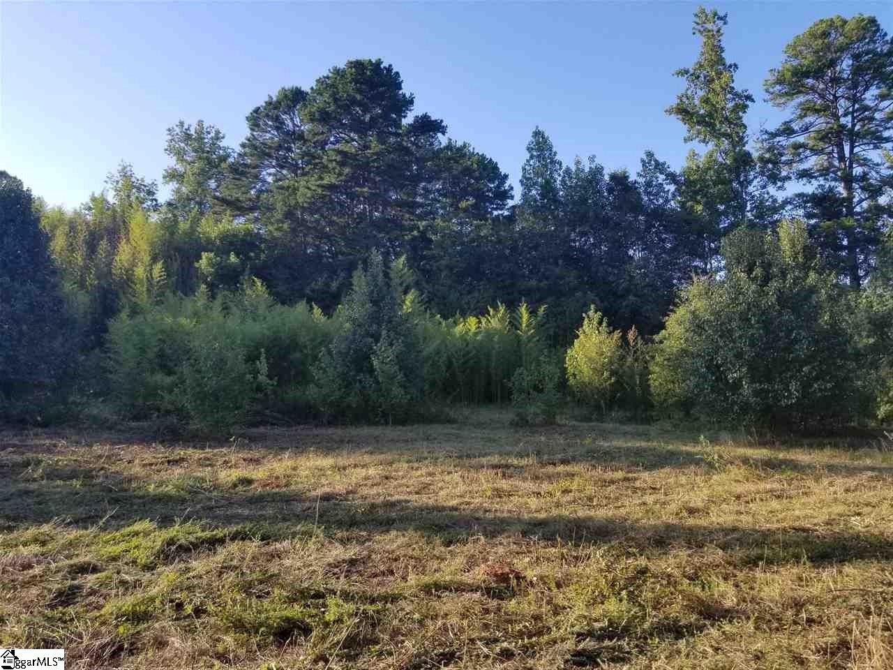 2 B Fairview Church Road Fountain Inn, SC 29644 - Photo 2 of 8