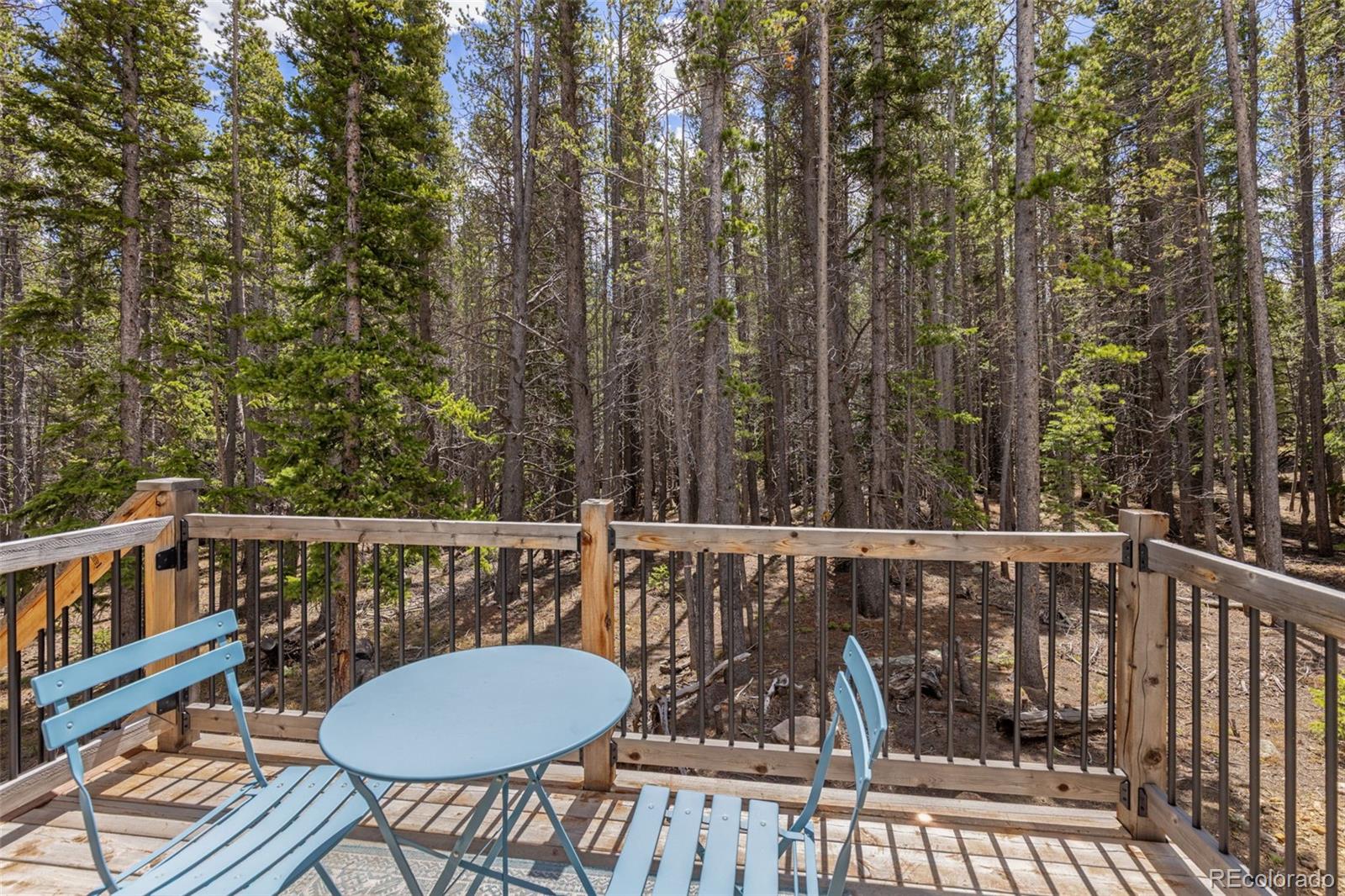 14 Deer Road Idaho Springs, CO 80452 - Photo 11 of 47
