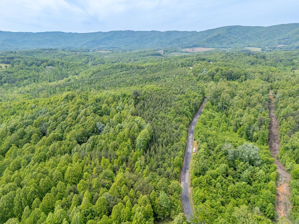 Tbd Ahart Ridge Road, Unit 58 60 61 Ararat, VA 24053 - Photo 10 of 54 Gallery Image 10