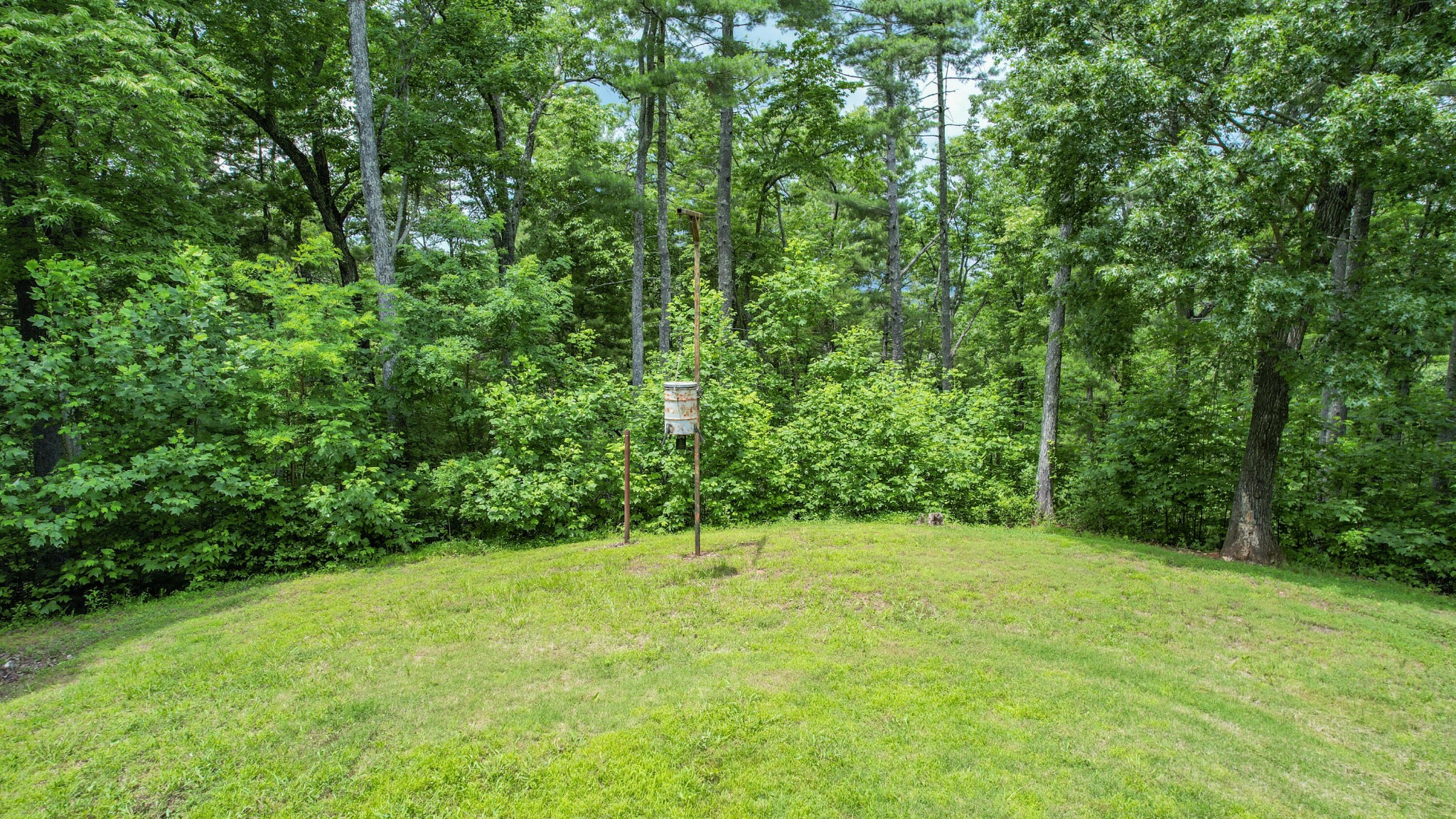 201 Campbell Branch Road Reliance, TN 37369 - Photo 85 of 99