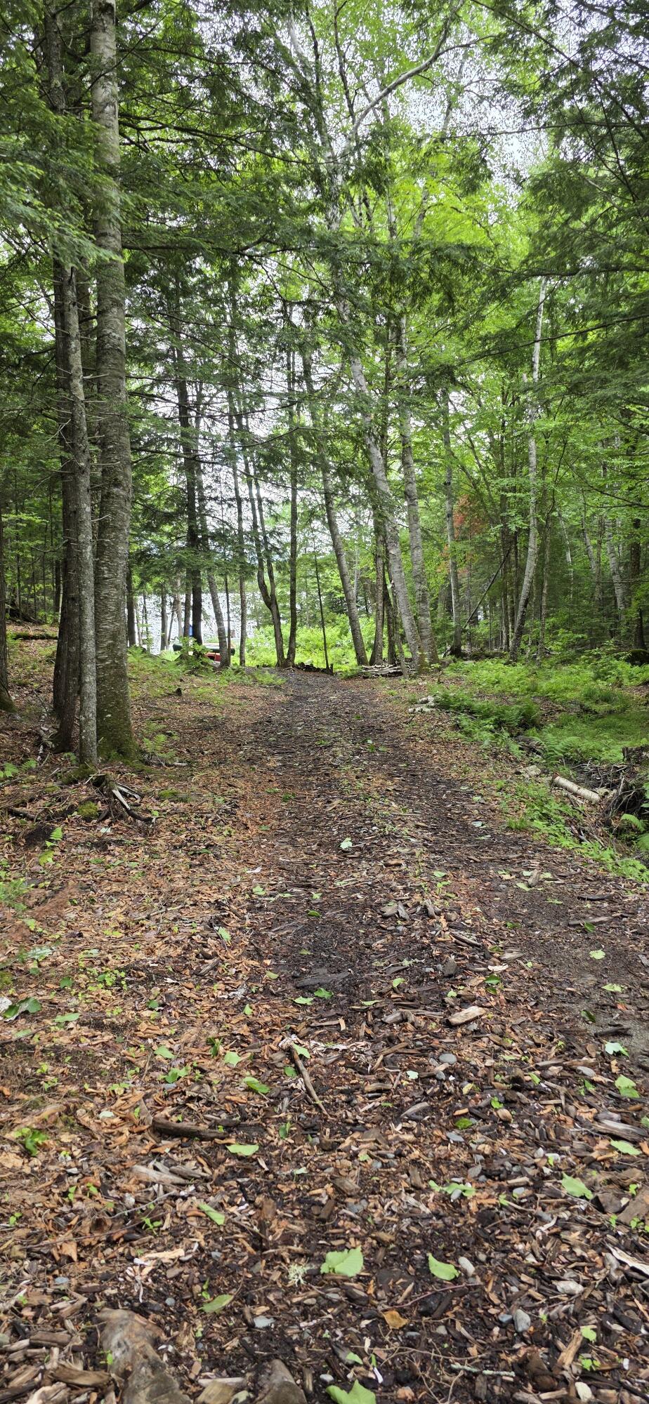 290 Allagash Road Greenville, ME 04441 - Photo 44 of 57 Waterfront Lot - Path