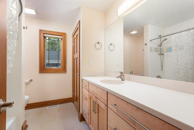 226 Spring Avenue Naperville, IL 60540 - Photo 21 of 42