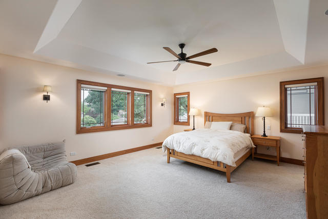 226 Spring Avenue Naperville, IL 60540 - Photo 23 of 42