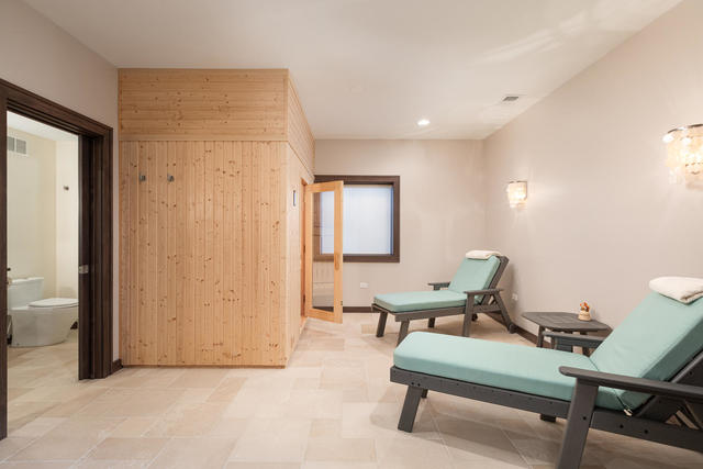 226 Spring Avenue Naperville, IL 60540 - Photo 28 of 42