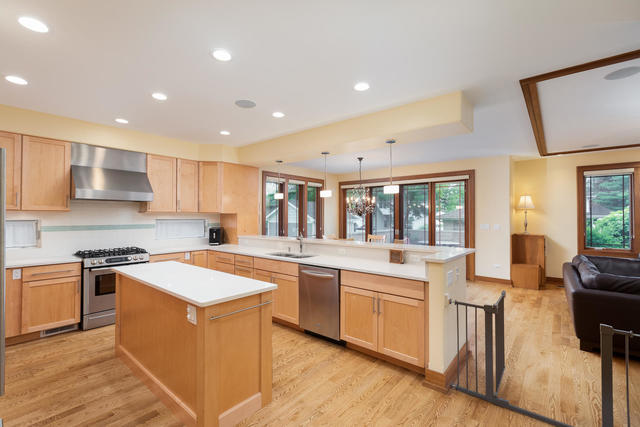 226 Spring Avenue Naperville, IL 60540 - Photo 7 of 42