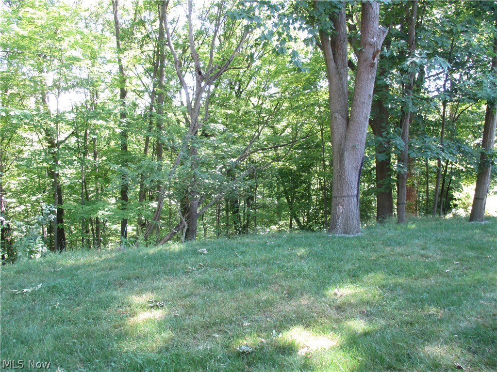 10520 Whitewood Road Brecksville, OH 44141 - Photo 6 of 27