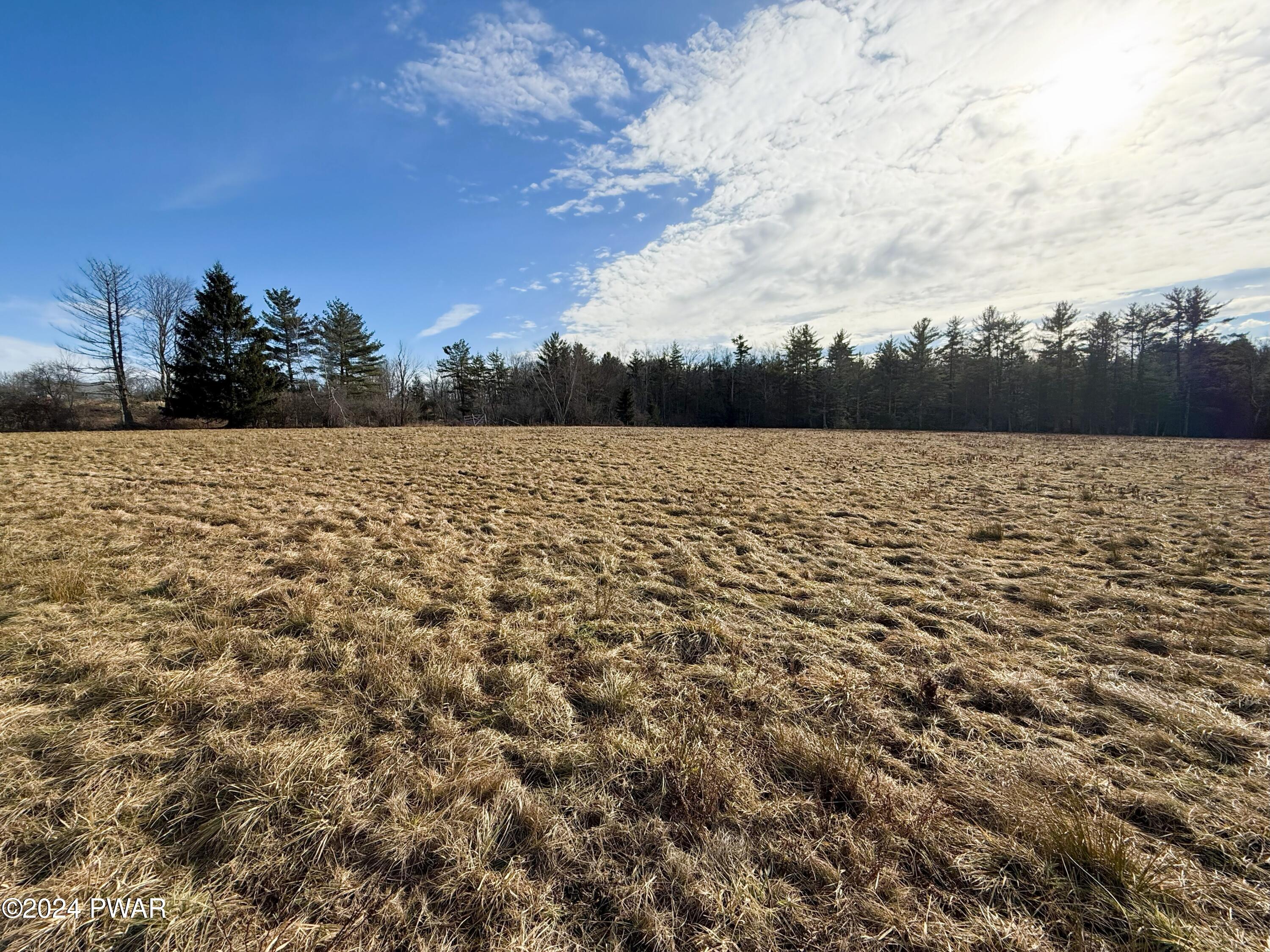 Swamp Brook Road Hawley, PA 18428 - Photo 12 of 12