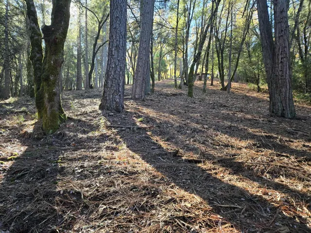a backyard of a house with lots of green space