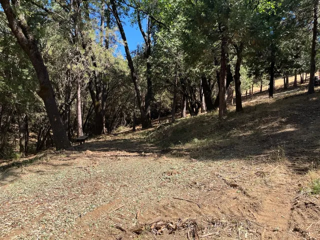 a view of a yard with trees