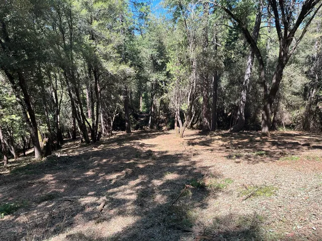 a view of space with trees