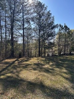 0 Sugar Maple Road Murphy, NC 28906 - Photo 2 of 7