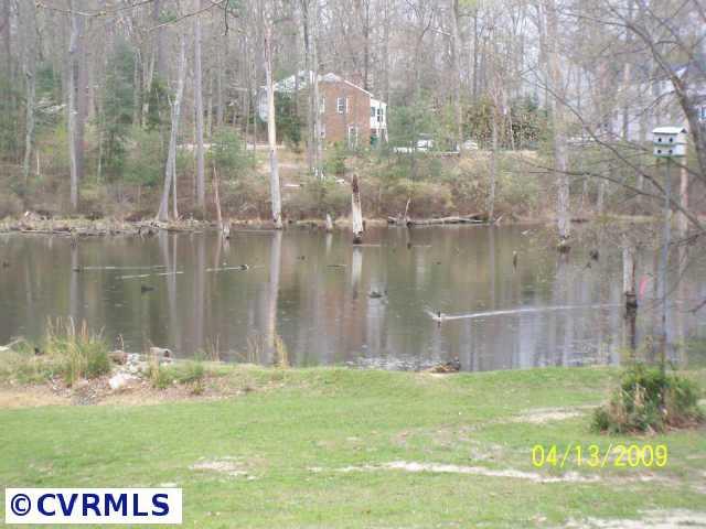 11300 Chalkley Road Chester, VA 23831 - Photo 4 of 7 Other - Creek/pond