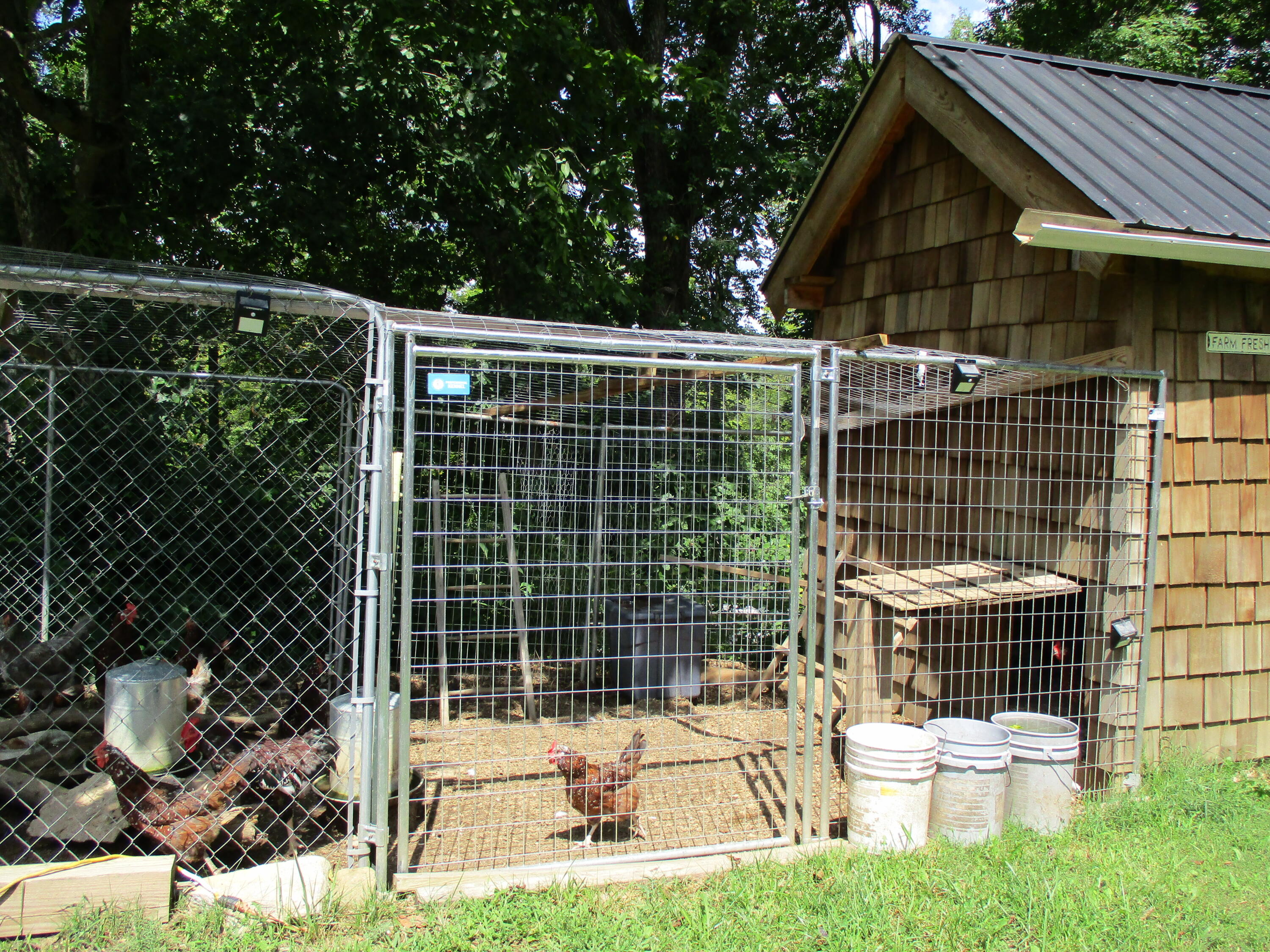 645 Fuzzy Duck Road Lancaster, KY 40444 - Photo 53 of 57 IMG_1204