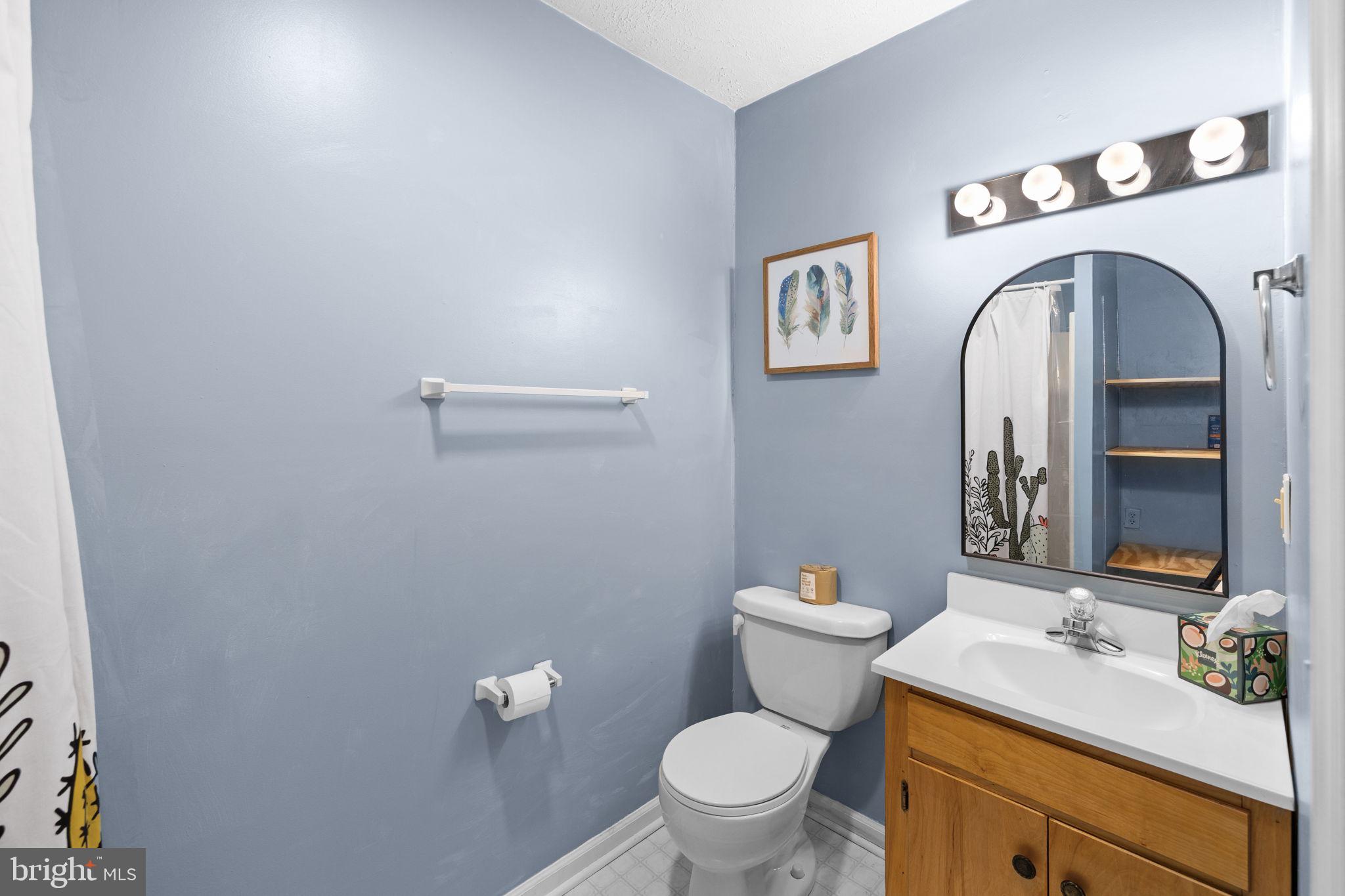 79 East Cedar Drive Ruckersville, VA 22968 - Photo 43 of 64 Bathroom three adjoining the bonus room