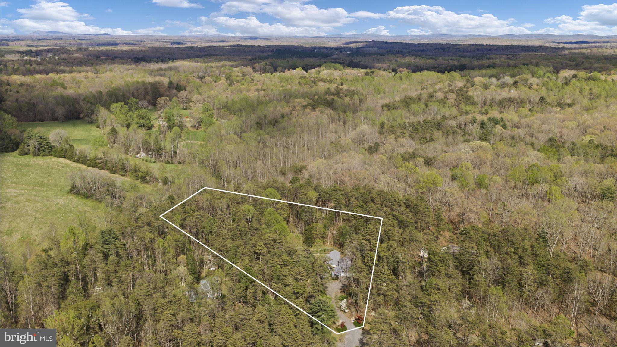 79 East Cedar Drive Ruckersville, VA 22968 - Photo 51 of 64