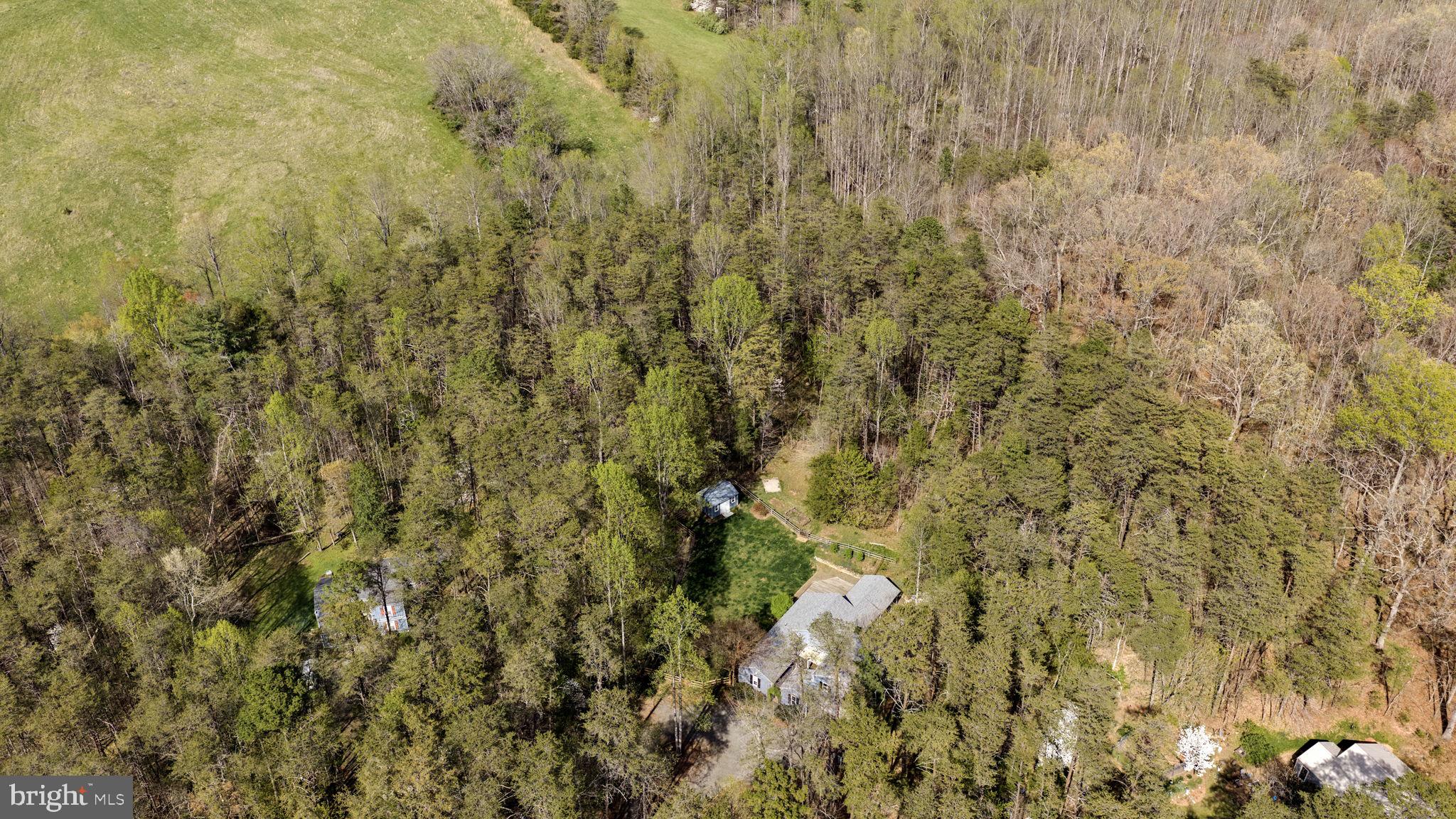 79 East Cedar Drive Ruckersville, VA 22968 - Photo 52 of 64